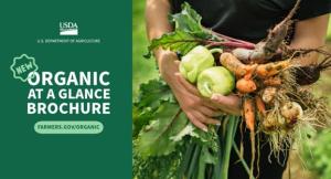 Thumbnail of organic programs at a glance brochure