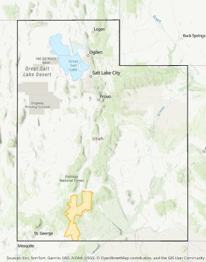 Garkane Rabbitbrush SFP
