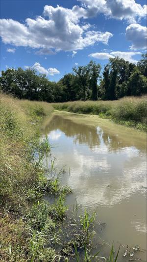 This 15-acre wetland in Lebanon County, PA helps preserve water quality, manage flood risks, and support biodiversity.