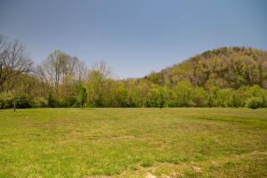 Location turned into a green space