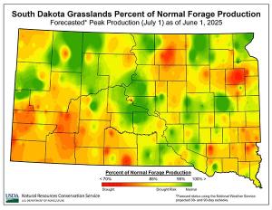 Thumbnail heatmap of percentage of forecasted normal forage production for SD as of June 1, 2025
