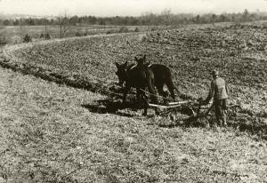 Early use of contour farming, circa 1930s.