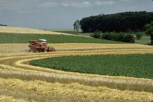 Modern use of contour farming