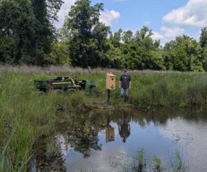 Randy Leisure stands next to a wood duck box that was installed by one of his wetlands.