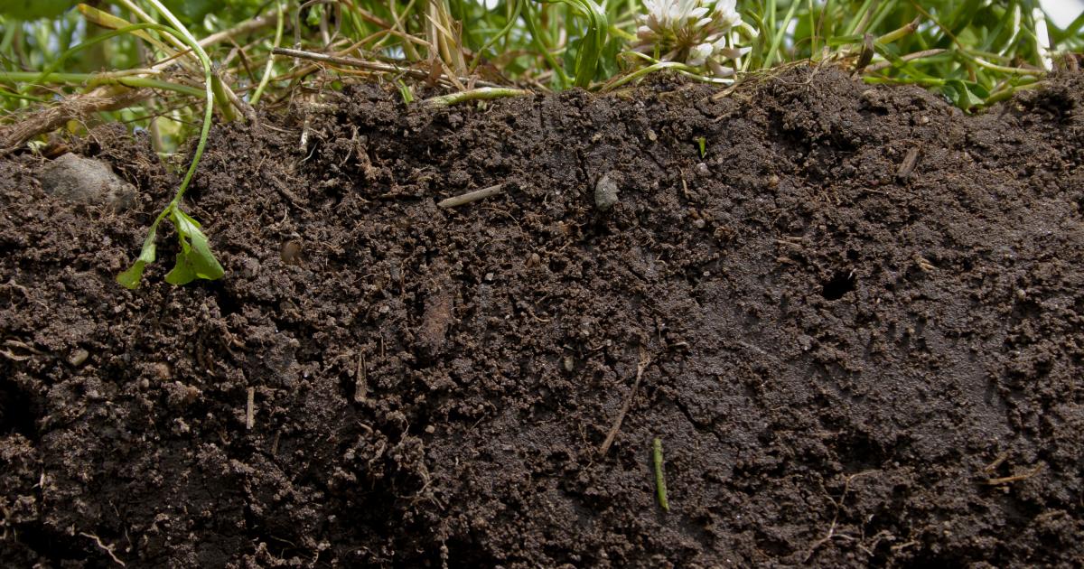 Soil Facts | Natural Resources Conservation Service