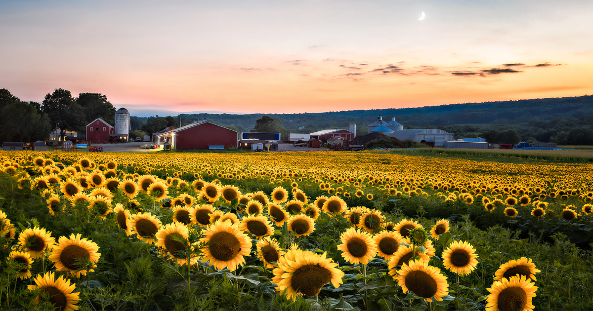 ‘Now Open for Regional Conservation Partnership Program Applications in New York’
