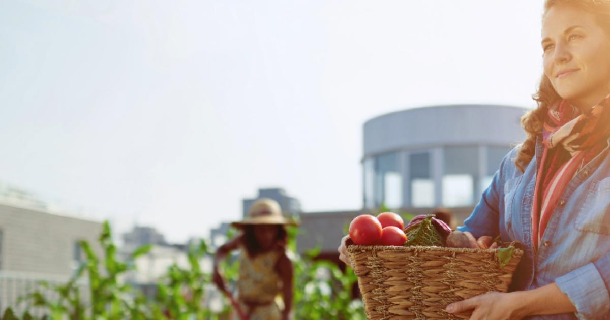 Applications for USDA Urban Agriculture and Innovative Production Applications for USDA Urban Agriculture and Innovative Production