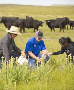 Rancher works with NRCS employees to do rangeland monitoring.