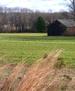 Connecticut farm field
