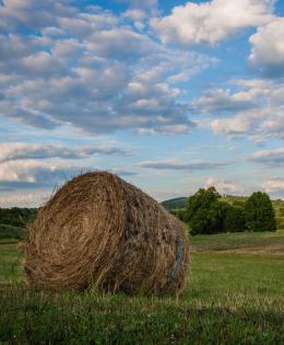 A roll of hay in a field underneath a blue sky.