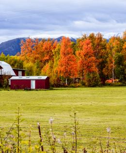 Alaska Farm in autumn