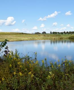 pond to help reduce sediment delivery in the Rathbun Lake Watershed
