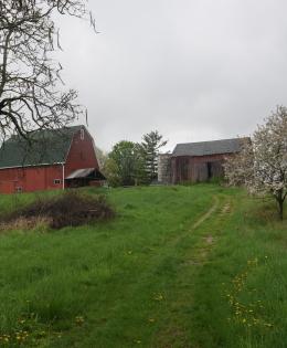 Farm enrolled in an Agricultural Conservation Easement in Washtenaw County.