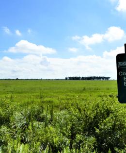 Florida Conservation Easement Boundary Sign