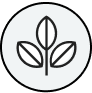 Black line icon of leaves to show plant