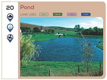 Pond Photo