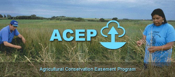 ACEP header image