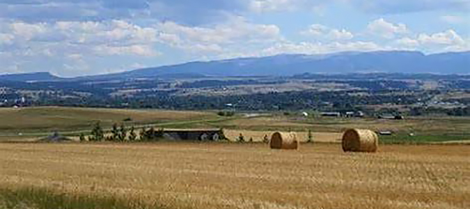 A picture containing wheat field, round hay bales, trees and hills in the distance.
