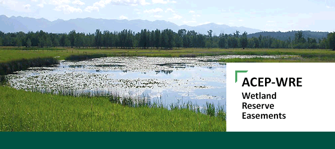 Wetland Reserve Easements