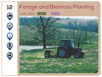 Forage and Biomass Planting