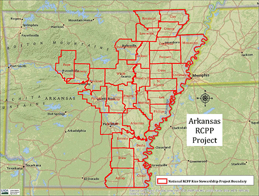 RCPP Rice Stewardship Partnership Project area map