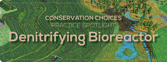 Conservation Choices: Denitrifying Bioreactor