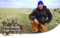 Tim Smith in his cereal rye cover crop field.