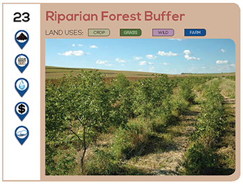 Riparian Forest Buffer