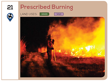 Prescribed Burning