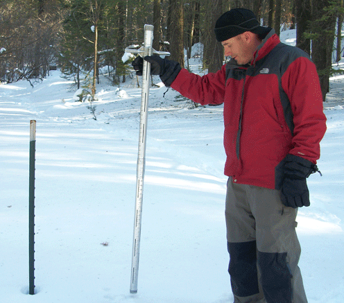 Snow survey team member evaluates snow levels.