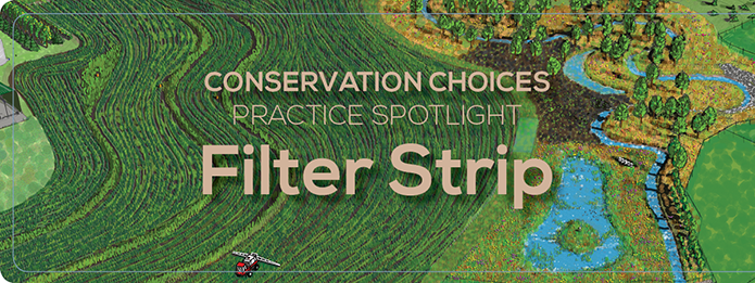 Conservation Choices: Filter Strip