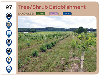 Tree/Shrub Establishment