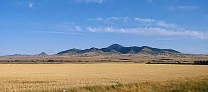 View of the Sweet Grass hills at a distance looking across a field of wheat.