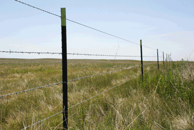 Recently replaced fence on the Fort Peck Reservation. July 2015.