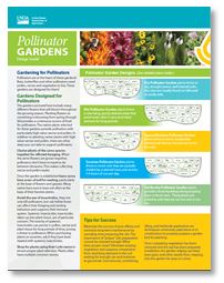 IL-Pollinator Gardens (Design Guide) 2017