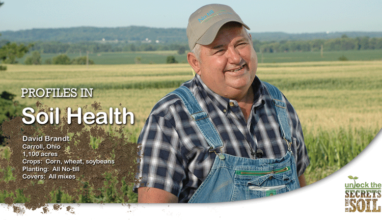 Farmer David Brandt Soil Health Profile