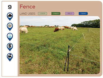 Temporary fencing in a rotational grazing system.