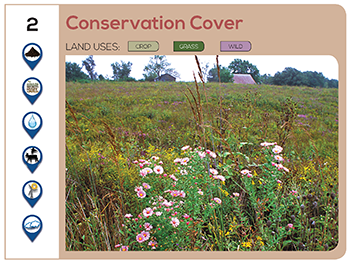 Conservation Cover