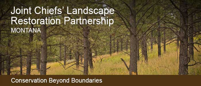 Joint Chiefs Landscape Restoration Partnership in Montana